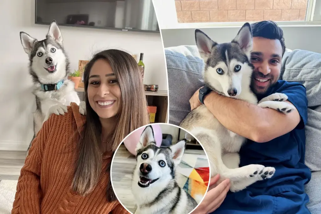 Aanstaande moeder traint hond om wensen door te geven aan haar man