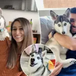 Aanstaande moeder traint hond om wensen door te geven aan haar man