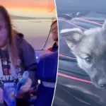 Southwest-passagier uit vliegtuig gezet wegens aaien van puppy