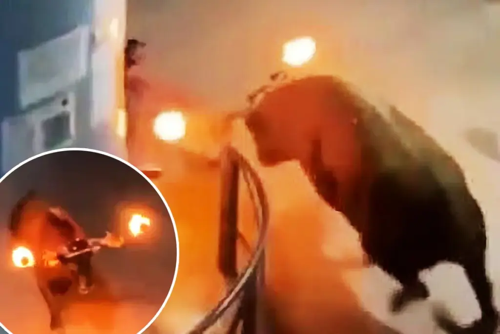 Schokkende video: stierenrenner gespiest tijdens het scrollen op zijn telefoon