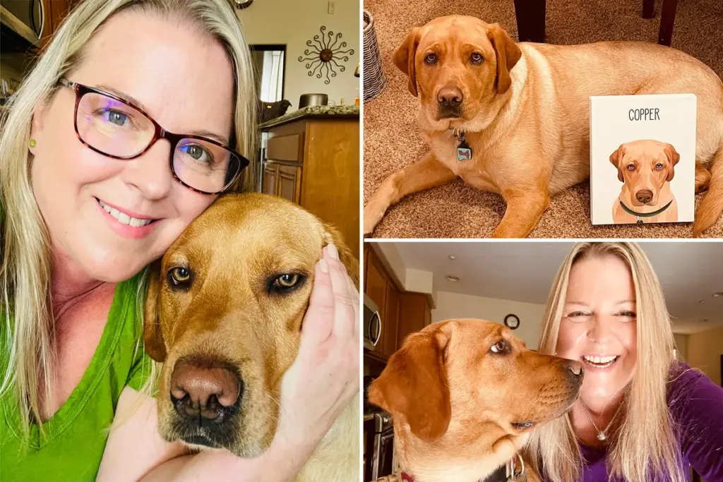 ‘Pratende’ hond verovert TikTok en zet mensen aan het denken