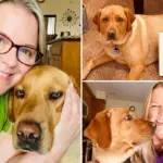 ‘Pratende’ hond verovert TikTok en zet mensen aan het denken