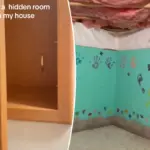 Ik ontdekte een geheime kamer vol kinderlijke handafdrukken in mijn huis: wat zou u doen?