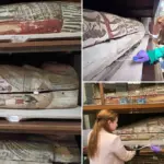 Egyptische mummies ruiken verrassend prettig, blijkt nieuw wetenschappelijk onderzoek