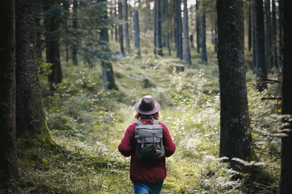 Ziet u paars op een boom in het bos? Dit moet u weten – en waarom uw veiligheid telt