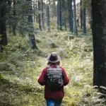 Ziet u paars op een boom in het bos? Dit moet u weten – en waarom uw veiligheid telt