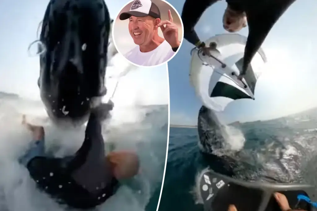 Surfer krijgt body-slam van bultrugwalvis – ongelofelijke beelden uit Australië