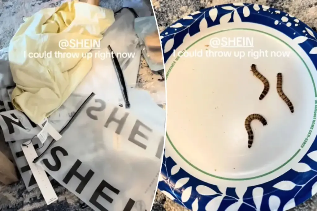 Shein-bestelling in Nederland: klant vindt levende wormen tussen kleding — kan dit wel?