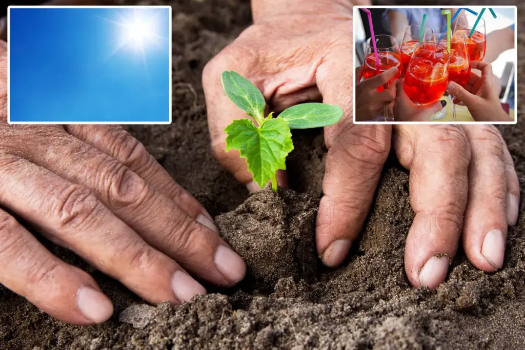 Waarom zeggen we ‘groene vingers’, ‘uit het niets’ en meer?