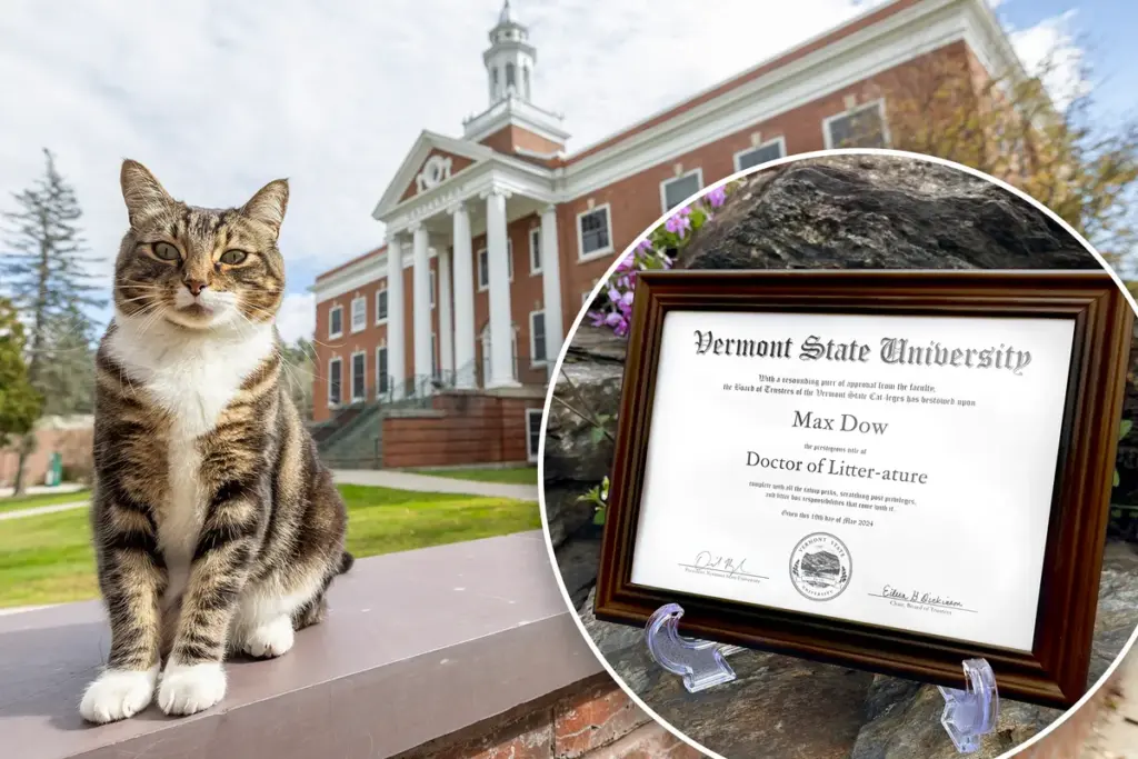 Deze kat uit Vermont krijgt een doctoraat: Dr. Max, Doctor of Litter-ature