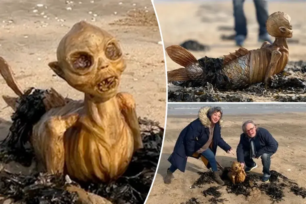 Strandbezoekers in de war door mysterieuze skeletvondst met vinnen in Kent