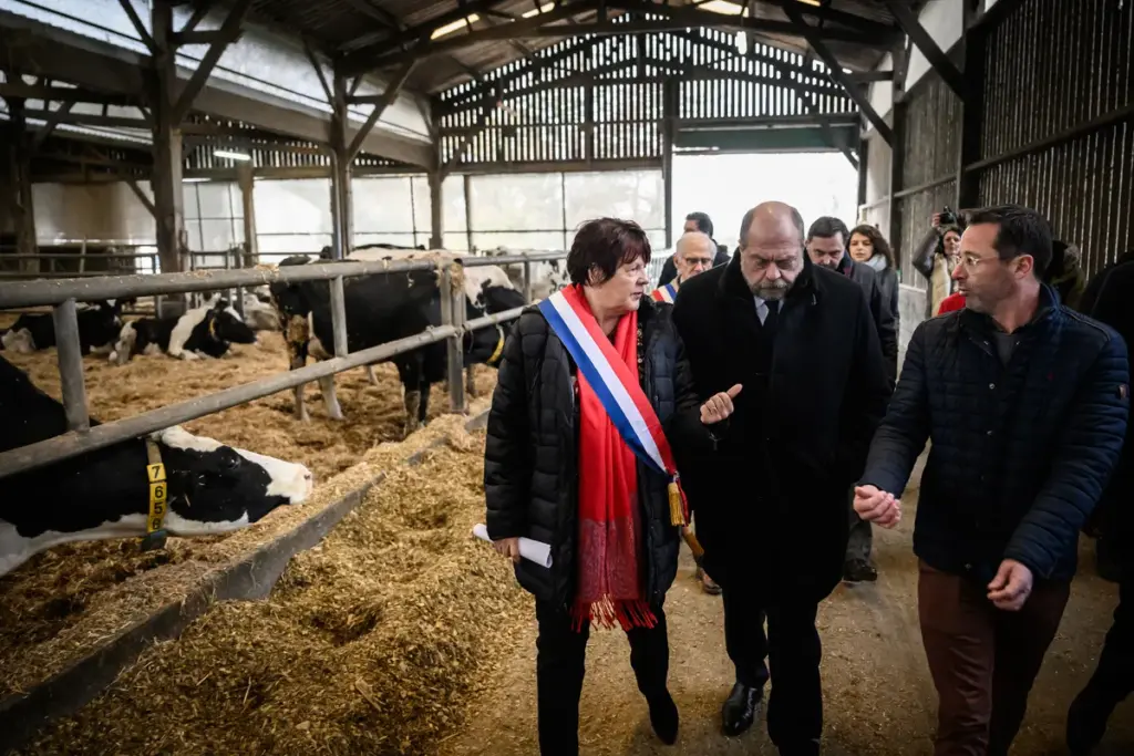 Loeiende koeien zorgen voor klachtengolf — Franse wet geeft boeren eindelijk gelijk