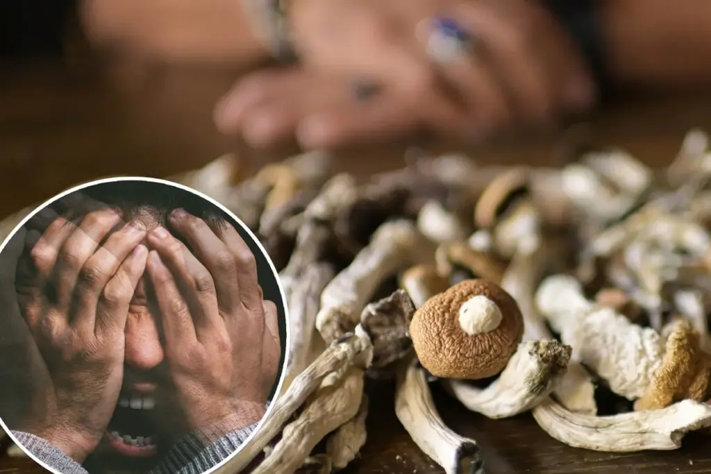 Oostenrijkse man amputeert penis onder invloed van paddo’s – Uniek geval zet medische wereld op scherp