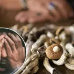 Oostenrijkse man amputeert penis onder invloed van paddo’s – Uniek geval zet medische wereld op scherp