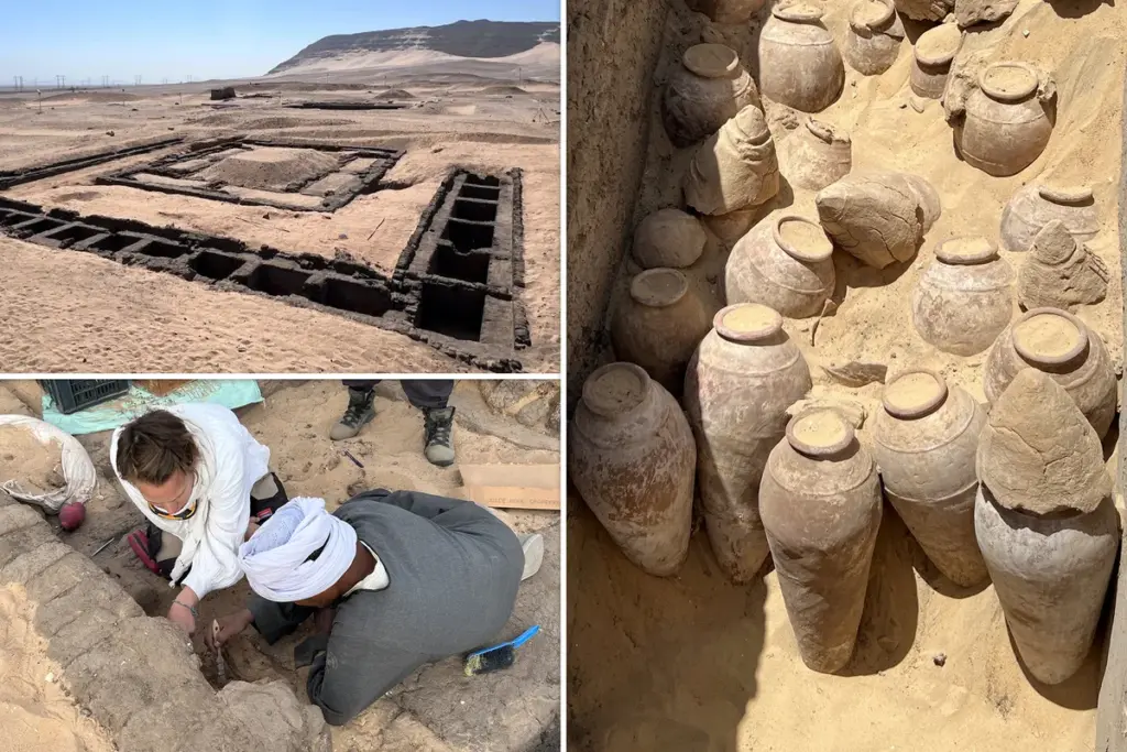 5.000 jaar oude wijn ontdekt in het graf van Egyptische koningin