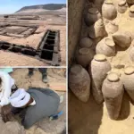 5.000 jaar oude wijn ontdekt in het graf van Egyptische koningin