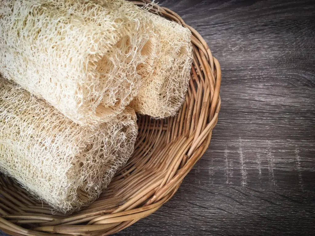 U gelooft nooit waarvan loofahs echt gemaakt zijn