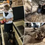 Eten tussen de skeletten: de meest bizarre McDonald’s ter wereld vind je in Italië