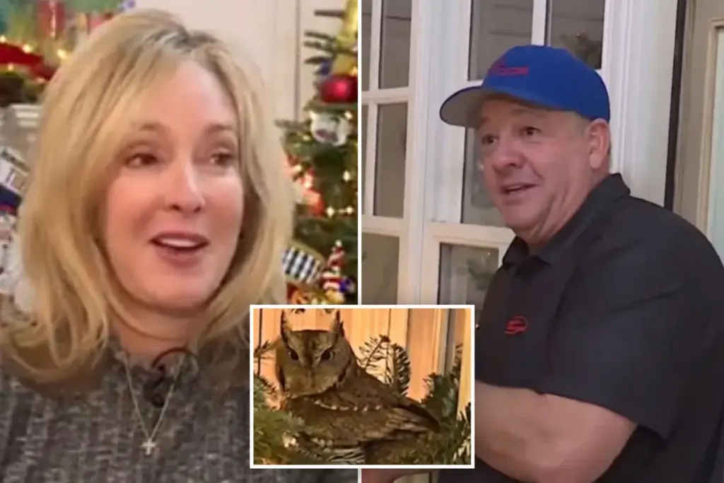 Uil ontdekt in kerstboom van Kentucky gezin na vier dagen: het wonder van de feestdagen