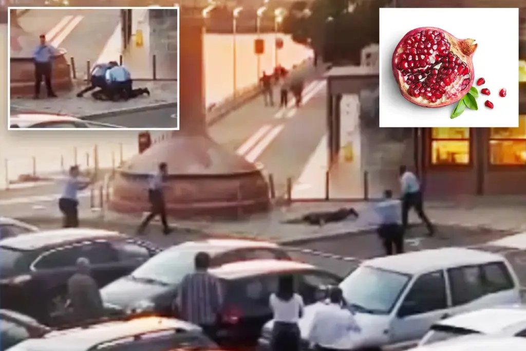 Toerist veroorzaakt bomalarm in Lissabon door verkeerde vertaling van ‘granaatappel’