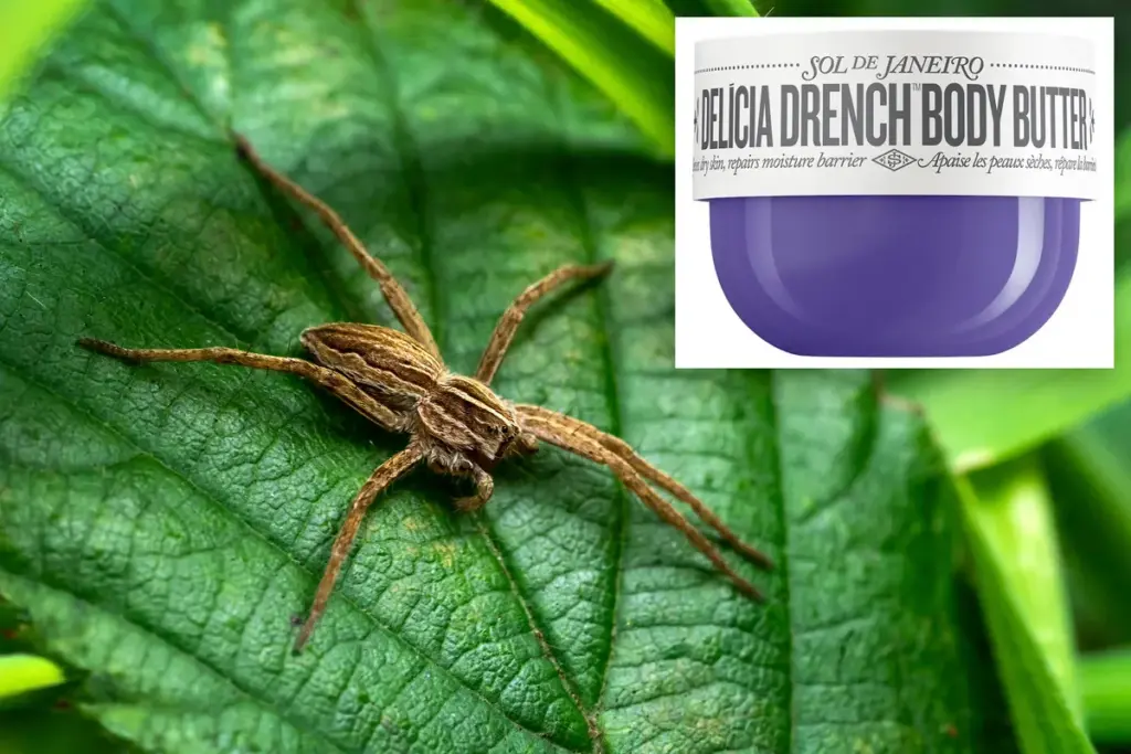 Trekt Sol de Janeiro body butter spinnen aan? Experts reageren op de hype