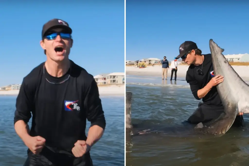 Floridaanse visser vangt in zijn eentje 550 kilo zware witte haai van 3,7 meter