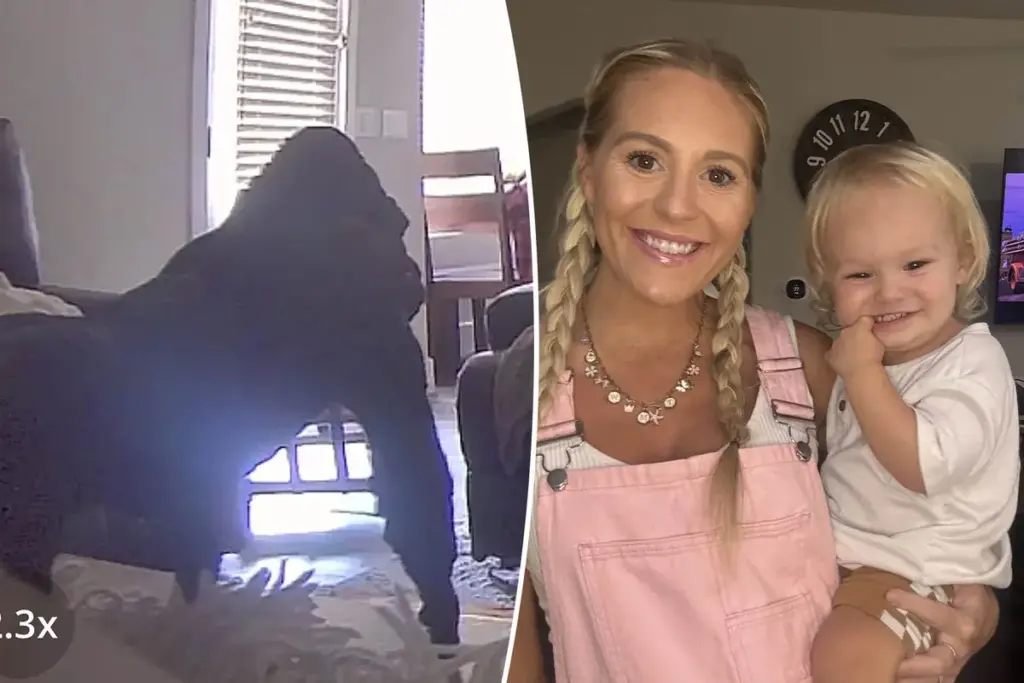 Ik zag een gigantische gorilla op de babyfoon — dit was het écht