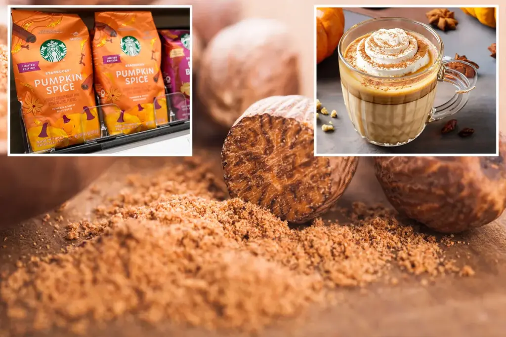 Waarom pumpkin spice meer is dan alleen herfst: de verborgen geschiedenis van uw favoriete specerij