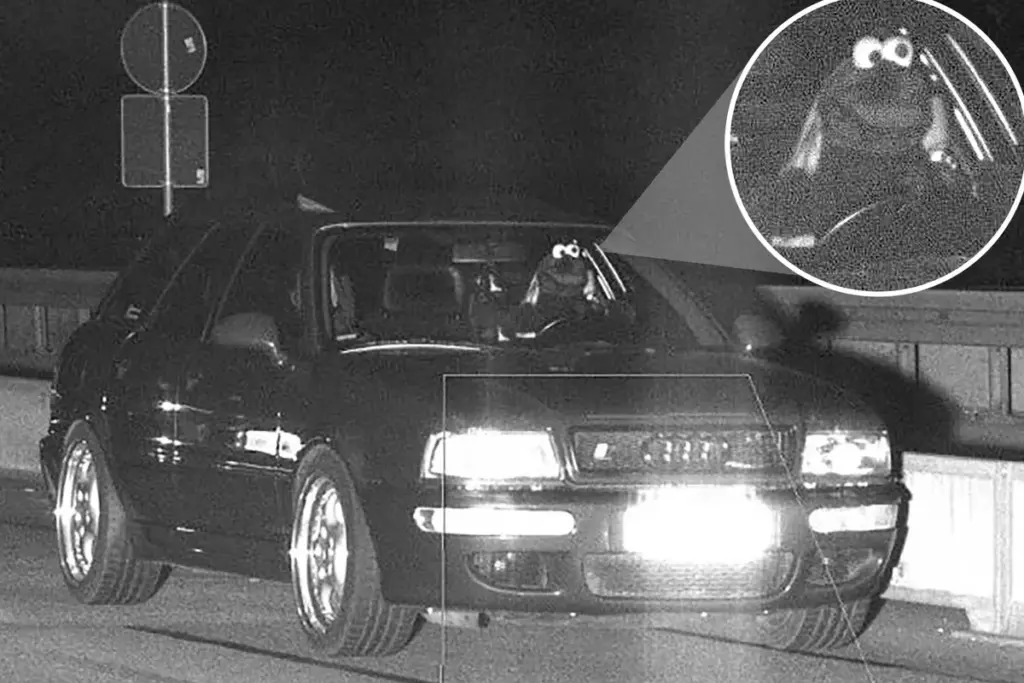 Cookie Monster betrapt door flitspaal — Duitse politie niet geamuseerd