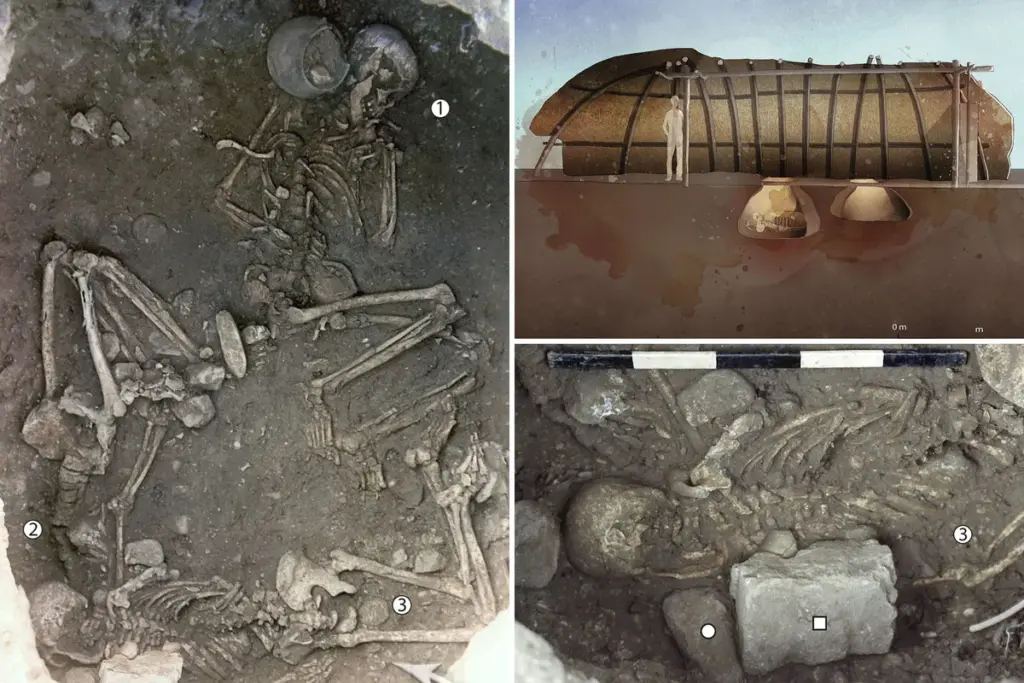 Opgegraven skeletten onthullen prehistorische mafia-achtige foltermoorden in Zuid-Frankrijk