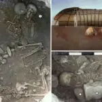 Opgegraven skeletten onthullen prehistorische mafia-achtige foltermoorden in Zuid-Frankrijk