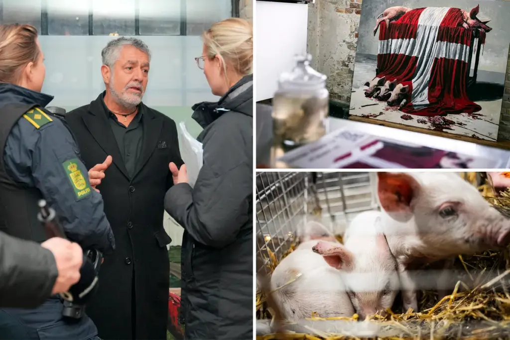 Ophef: kunstinstallatie met uitgehongerde biggetjes wil discussie over dierenleed aanwakkeren