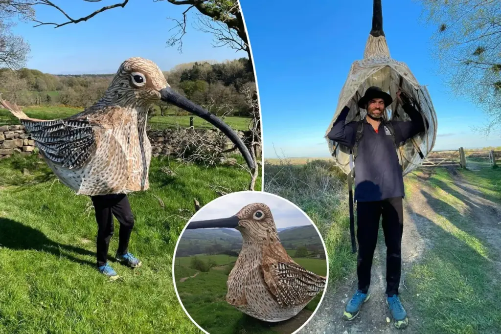 53 kilometer lopen in vogelpak: Nederlander zet zich in voor de bedreigde wulp