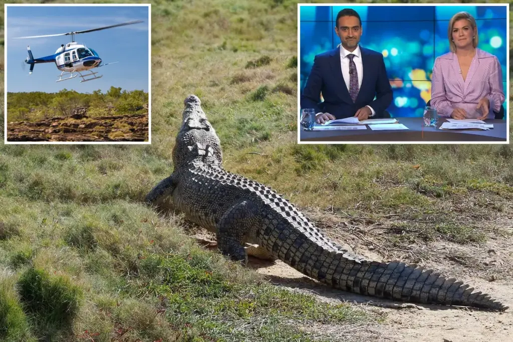 Helikopters maken krokodillen hitsig — dit is waarom