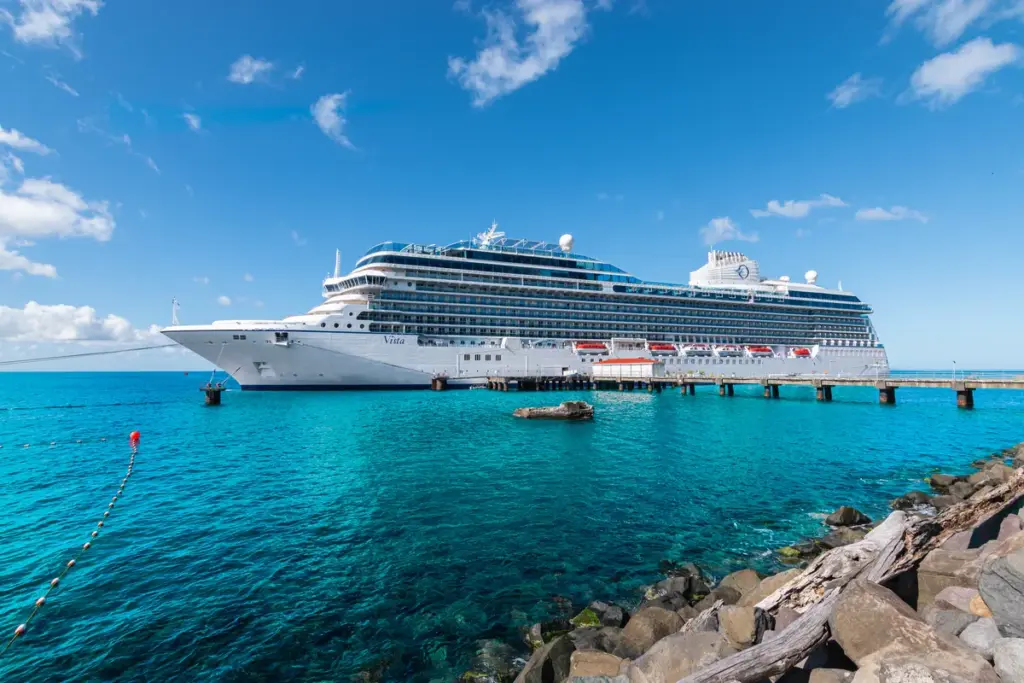 Waarom steeds meer mensen badeendjes verstoppen op cruiseschepen