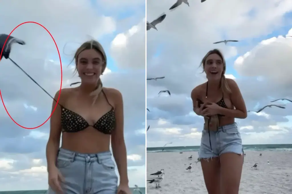 Lele Pons raakt bikini kwijt door brutale meeuw – alles gefilmd