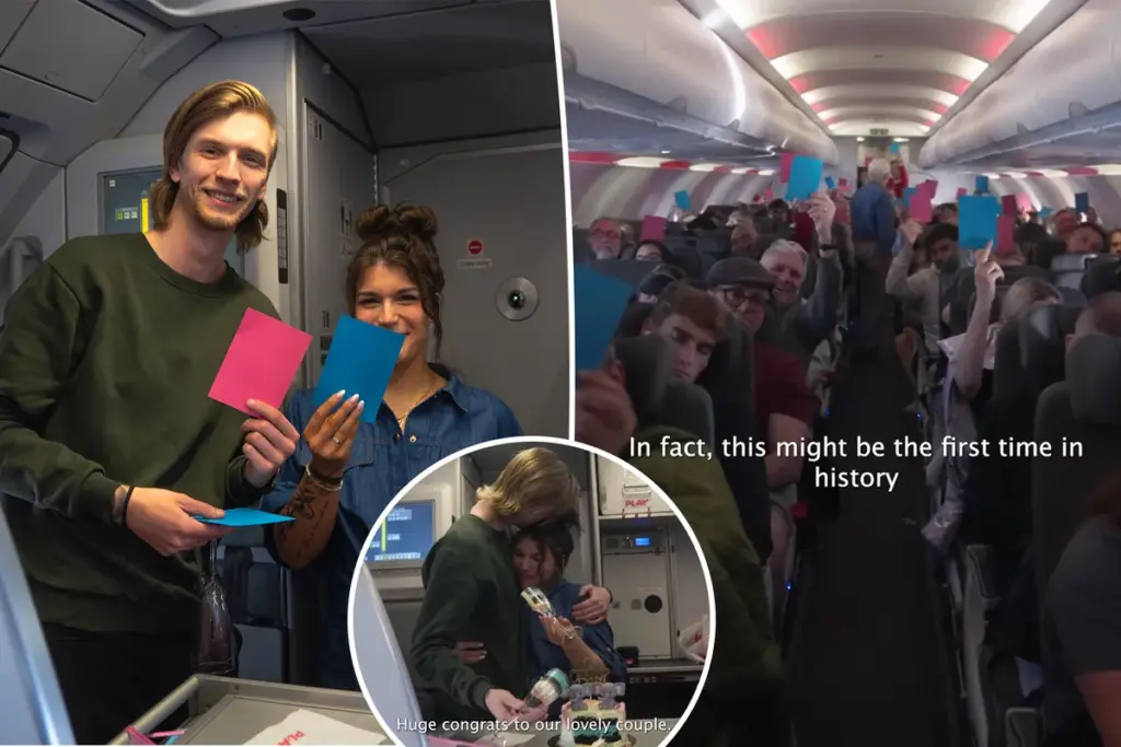 Onze gender reveal op 9 kilometer hoogte — met vreemden, een taart en veel blauwe frosting