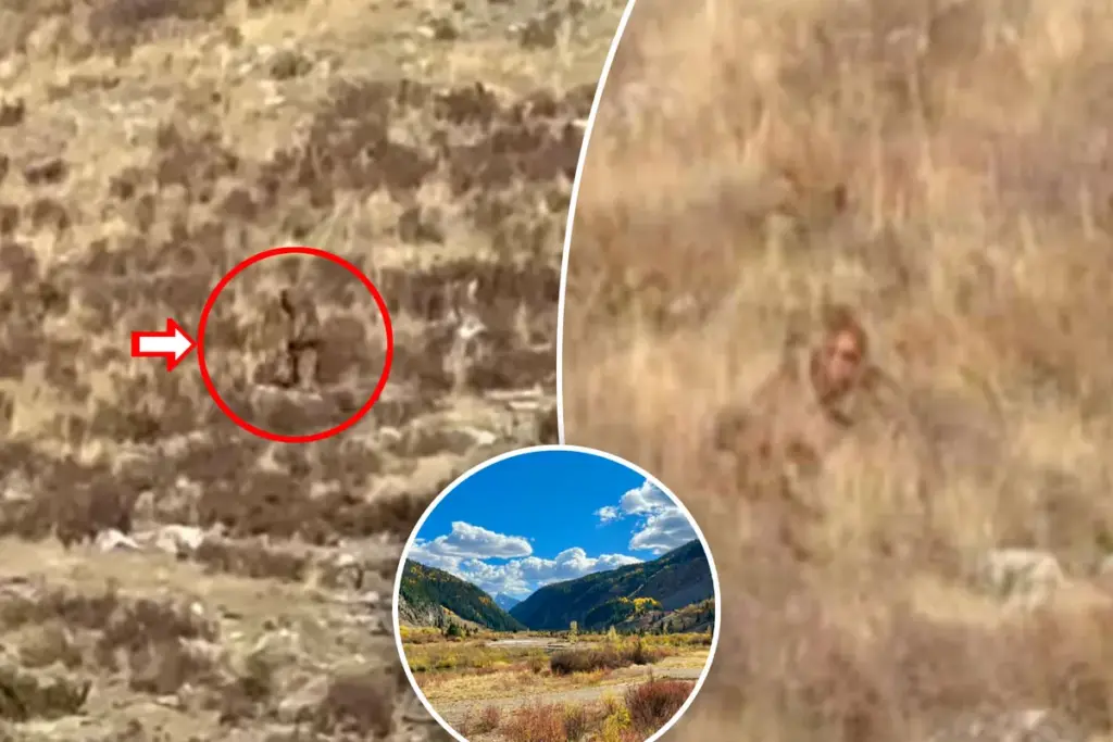 Bigfoot midden op de dag gespot in Colorado — bekijk de video