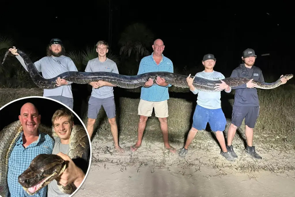 Slangenjagers vangen vijf meter lange python die voor alligator werd aangezien: ‘Het was bizar’
