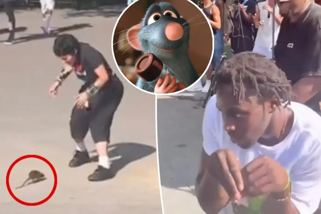 Rattenvideo ontploft op TikTok: ‘Niets is méér New York dan dit’