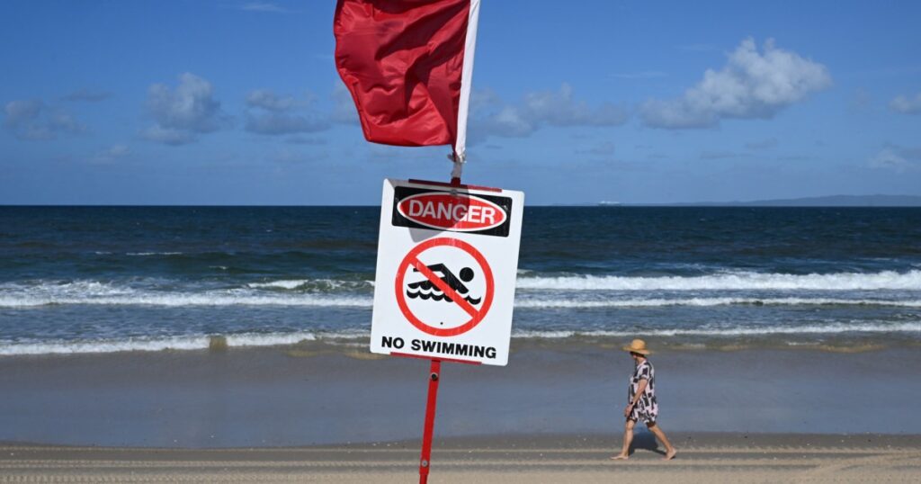 Schokkende aanval: Zwitserse toerist overlijdt bij haai-aanval aan de Australische oostkust